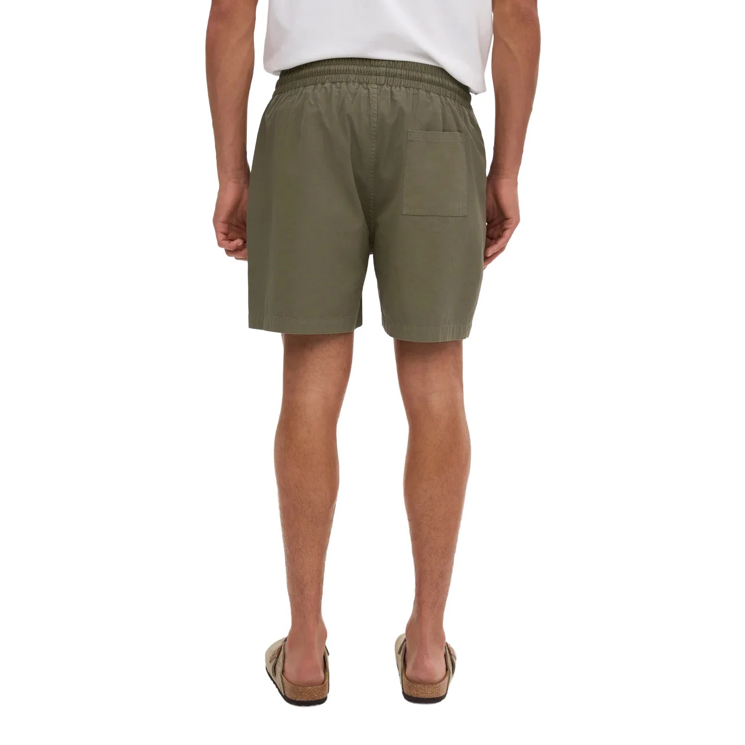 Colorful Standard Organic Twill Shorts Dusty Olive - Image 5
